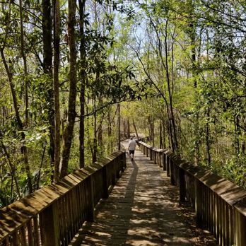 Old Santee Canal Park - Parks Near Me - Moncks Corner, South Carolina Old Santee Canal Park - Parks Near Me - Moncks Corner, South Carolina