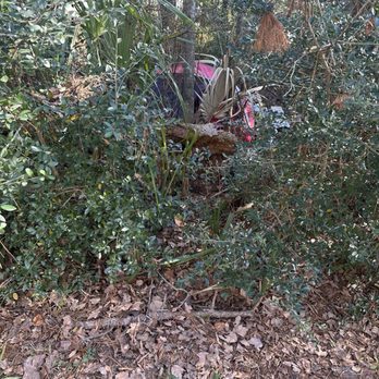 The Preserve At Godley Station - Homeless living in the bushes between the 2000 building and main road. - Apartments Near Me - Pooler, Georgia