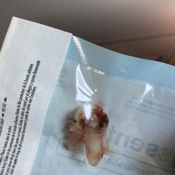 Affinity Dental Center
