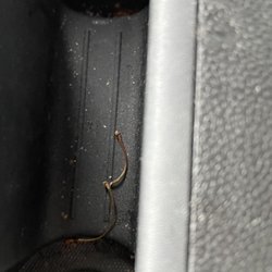 AVIS - Cherry stems in cup holders