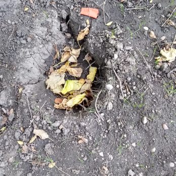 C&S Rustic Contractors - hole that they dug and told me I was to put in the new sprinkler - Landscaping Near Me - Nampa, Idaho