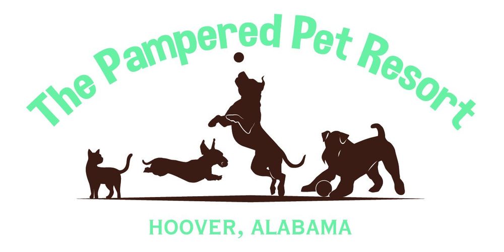Pampered Pet Resort - pet boarding facility in Hoover, AL