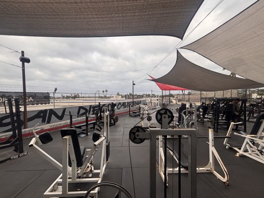 The Gym by null