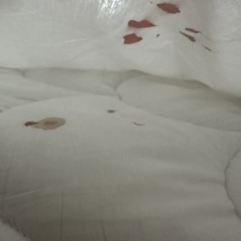 Fairfield by Marriott Inn & Suites Cullman - Bloody sheets!! - Hotels Near Me - Cullman, Alabama Fairfield by Marriott Inn & Suites Cullman - Bloody sheets!! - Hotels Near Me - Cullman, Alabama