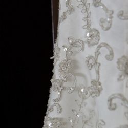 My wedding dress and veil