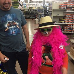 Turtle Market - Fashionably accurate pink flamingo showing up for the turtles to grab
