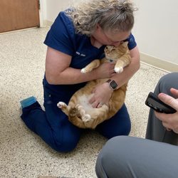 Northwind Animal Hospital