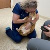 Northwind Animal Hospital gift card