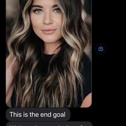 Moda Hair Salon - This is the picture SHE suggested. And the price quote. In the text she says THIS is your end goal.