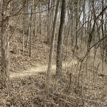Wild Hyacinth trail - Hiking Near Me - Louisville, Kentucky Wild Hyacinth trail - Hiking Near Me - Louisville, Kentucky