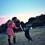 Photo of ATX Canine Club