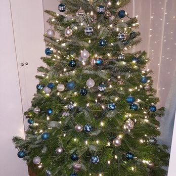 Lochsloy Acres - Beautifally decorated tree! - Christmas Trees Near Me - Lake Stevens, Washington