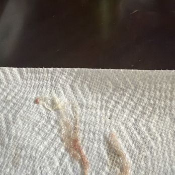 Publix - The plastic that was inside of my sub - Grocery Near Me - Miami, Florida
