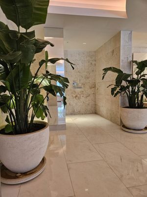 Grand Beach Hotel by null