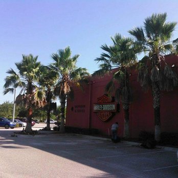 Lowler's Tree Service - Before pic of pal. Trimming at Harley Davidson shop in orlando - Tree Services Near Me Lowler's Tree Service - Before pic of pal. Trimming at Harley Davidson shop in orlando - Tree Services Near Me