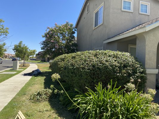 landscaping,irrigation and tree service! - We offer landscaping ,irrigation and tree services. we will beat any price call now! For a free estimate!