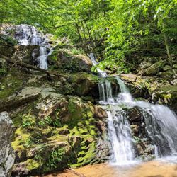Dark Hollow Falls Trail - Instagram: @telephonesmoothie