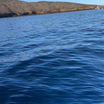 Maui Snorkel Charters - Boat Tours Near Me - Kihei, Hawaii Maui Snorkel Charters - Boat Tours Near Me - Kihei, Hawaii