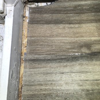 The Home Depot - I can see the subfloor under the vinyl plank - Nurseries & Gardening Near Me - Grand Junction, Colorado