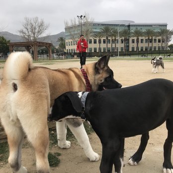Riverwalk Dog Park - Dog Parks Near Me - Riverside, California Riverwalk Dog Park - Dog Parks Near Me - Riverside, California