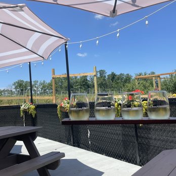 Deer Run Winery - Wineries Near Me - Geneseo, New York