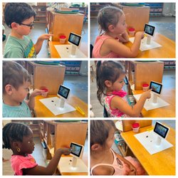 Arka Montessori Academy - Our science exploration class kids learning about the insects.