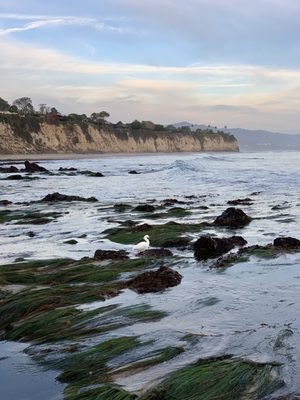 Point Dume State Beach by null