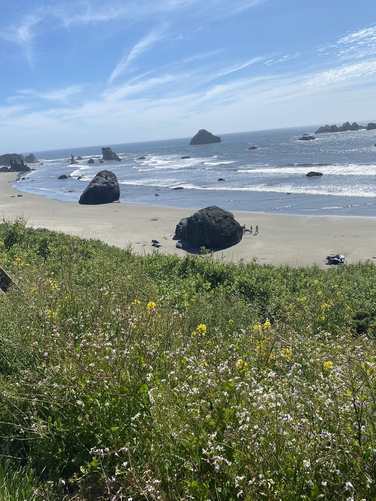 EXCLUSIVE PROPERTY MANAGEMENT Updated October 2024 Bandon, Oregon Vacation Rentals Phone