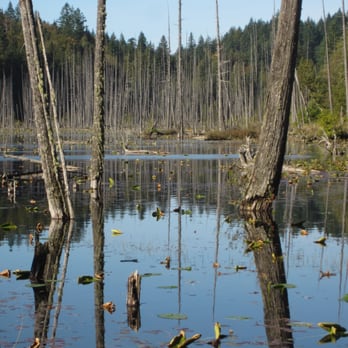 Killarney Lake - Hiking Near Me