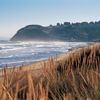Pacificislands.Com - Dunedin (Tourism New Zealand Copyright) - Travel Services Near Me - Los Angeles, California