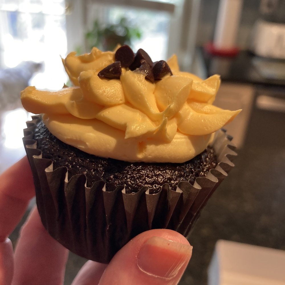 Blu Bakery - a hand holding a chocolate cupcake - Bakeries Near Me - Louisville, Kentucky Blu Bakery - a hand holding a chocolate cupcake - Bakeries Near Me - Louisville, Kentucky