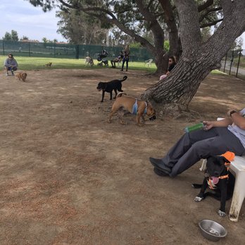Orange Dog Park - Roaming around & visiting with the other dogs. - Dog Parks Near Me - Orange, California Orange Dog Park - Roaming around & visiting with the other dogs. - Dog Parks Near Me - Orange, California