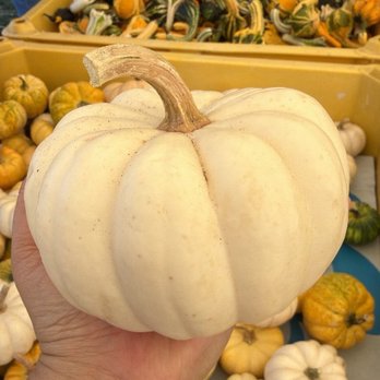 Bates Nut Farm - Specialty Food Near Me - Valley Center, California