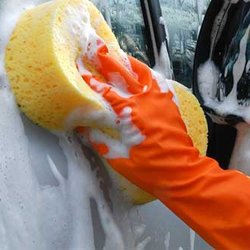 Maple Car Wash and Detailing - Hand Wash