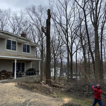 Tri State Yard Pros - Tree Services Near Me