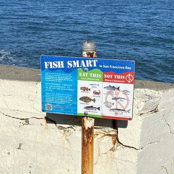 Torpedo Wharf - 11.15.20 educate yourself on the types of fishes to take home... - Landmarks & Historical Buildings Near Me - San Francisco, California Torpedo Wharf - 11.15.20 educate yourself on the types of fishes to take home... - Landmarks & Historical Buildings Near Me - San Francisco, California
