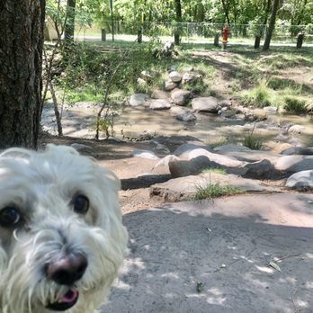 Two Rivers Ruidoso Trail Park - Pup Approved - Parks Near Me - Ruidoso, New Mexico Two Rivers Ruidoso Trail Park - Pup Approved - Parks Near Me - Ruidoso, New Mexico