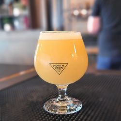 North Park Beer Company - X Raying Citra DIPA Haxy 8.5% ABV