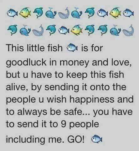 Social spots from Premier Gymnastics Academy