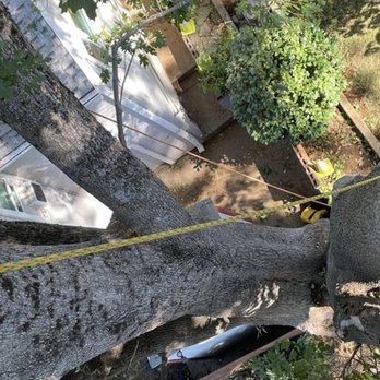 Leaf It To Me - Tree Services Near Me - Nevada City, California Leaf It To Me - Tree Services Near Me - Nevada City, California