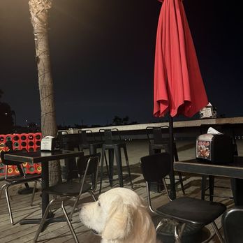 Grill 'Em All - Overlooking the Alamitos Bay - Burgers Near Me - Long Beach, California