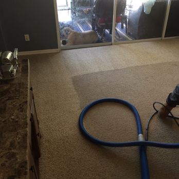 Regal Carpet Cleaning - Carpet Cleaning Near Me - Vero Beach, Florida Regal Carpet Cleaning - Carpet Cleaning Near Me - Vero Beach, Florida