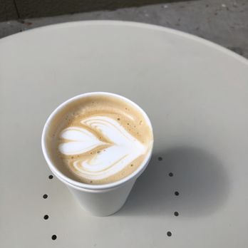 Elevation Coffee Roasters - Latte to go. - Coffee Roasteries Near Me - Tampa, Florida