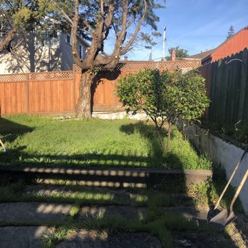 Gold Star Landscaping - BackYard before the remodel - Landscaping Near Me - Hayward, California