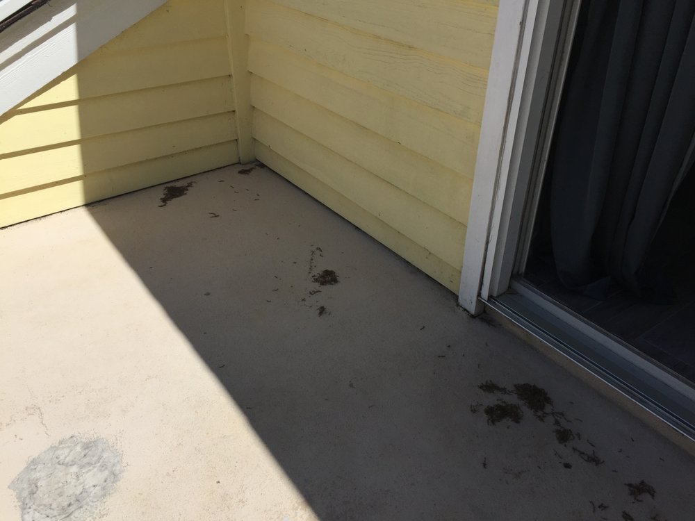 Slide of Willow Ash Roofing