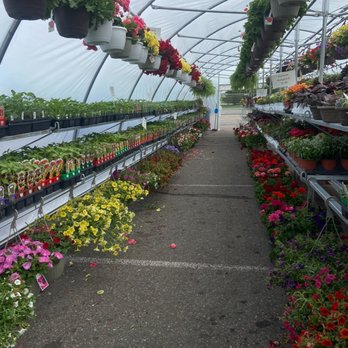 Plant Place - Plant center - Nurseries & Gardening Near Me - Chanhassen, Minnesota Plant Place - Plant center - Nurseries & Gardening Near Me - Chanhassen, Minnesota