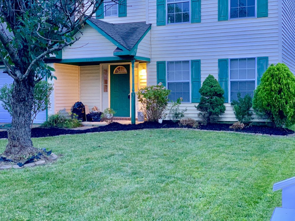 Juniper Tree Lawncare - tree service in Virginia Beach, VA