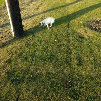 McDonald's - Grass for the doggy pit stop - Fast Food Near Me - Terrell, Texas McDonald's - Grass for the doggy pit stop - Fast Food Near Me - Terrell, Texas