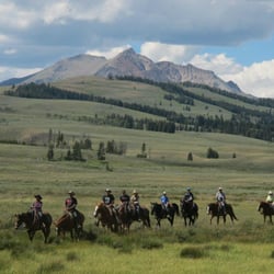 Yellowstone Wilderness Outfitters - Day rides in Yellowstone