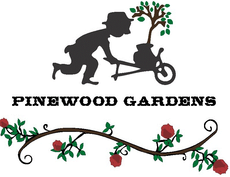 PINEWOOD GARDENS Updated September 2024 17630 Munds Ranch Rd, Munds